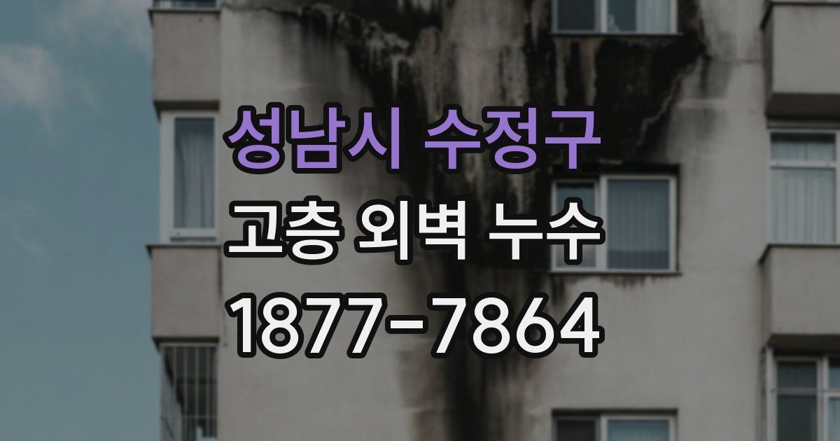 성남시 수정구 고층 외벽 누수