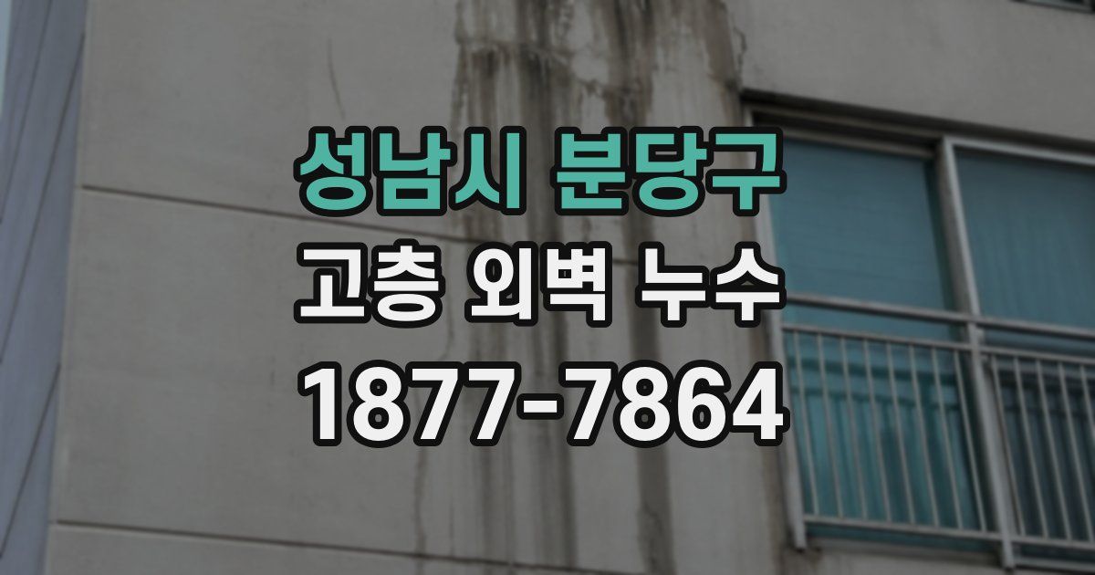성남시 분당구 고층 외벽 누수