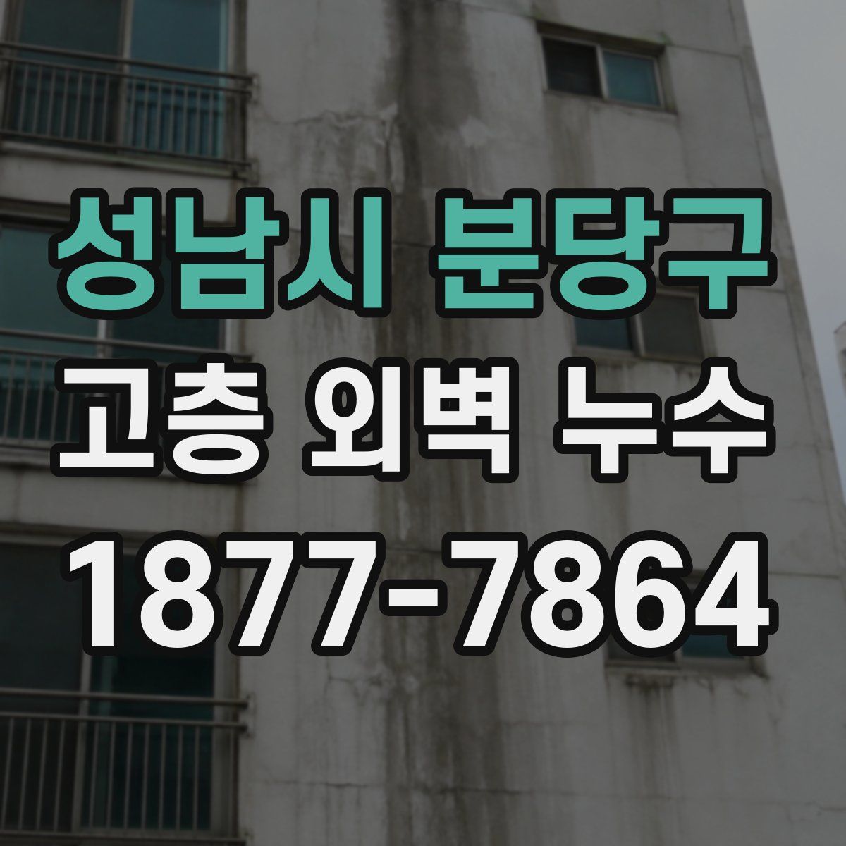성남시 분당구 고층 외벽 누수