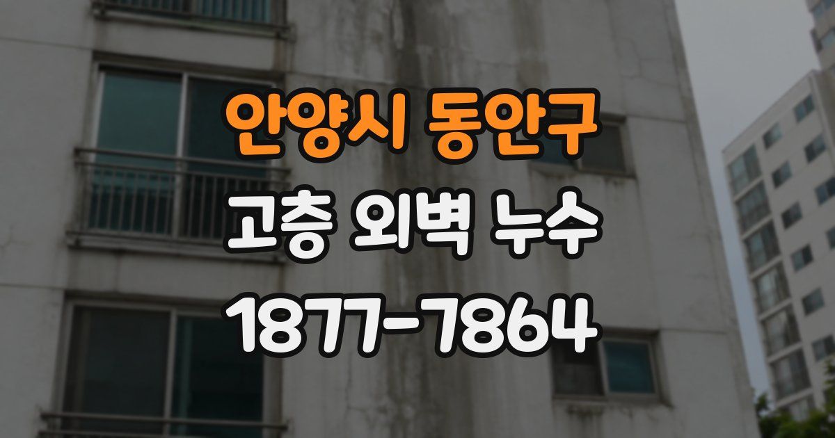 안양시 동안구 고층 외벽 누수