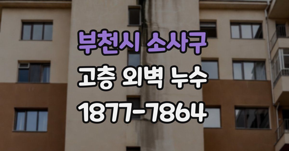 부천시 소사구 고층 외벽 누수