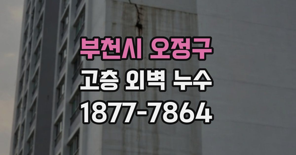 부천시 오정구 고층 외벽 누수