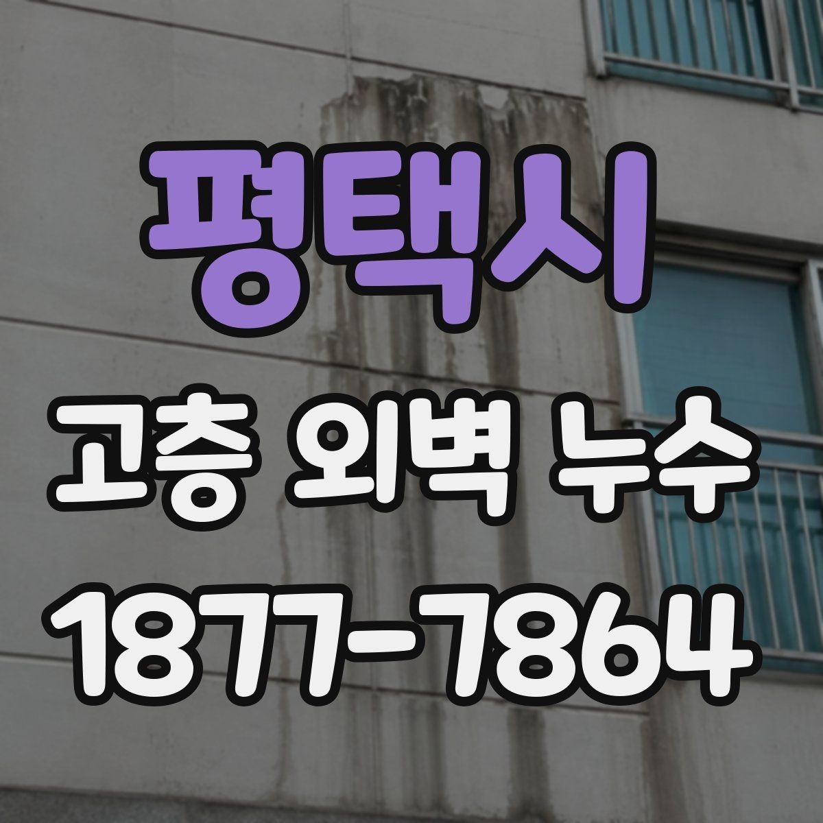 평택시 고층 외벽 누수 노후 건물에서 많이 생기는 구간