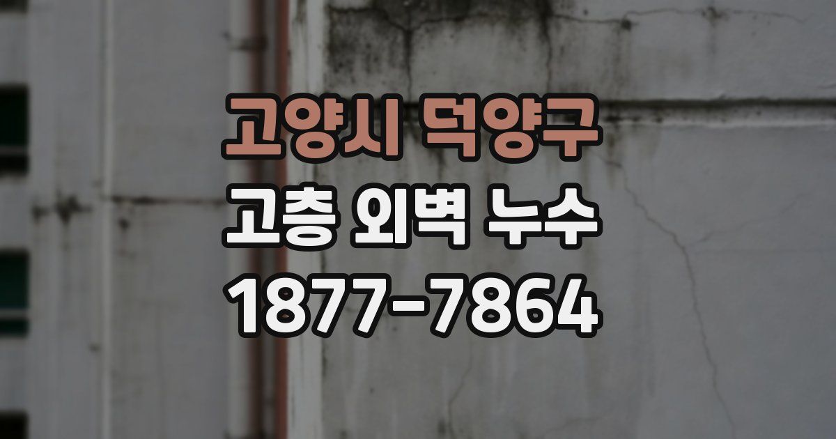 고양시 덕양구 고층 외벽 누수