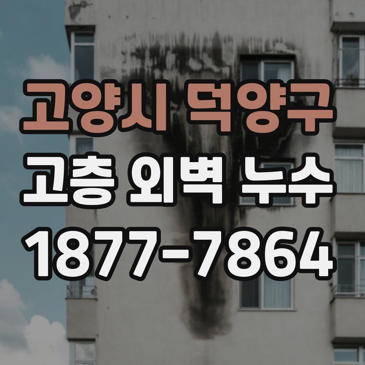 고양시 덕양구 고층 외벽 누수