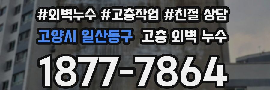 고양시 일산동구 고층 외벽 누수