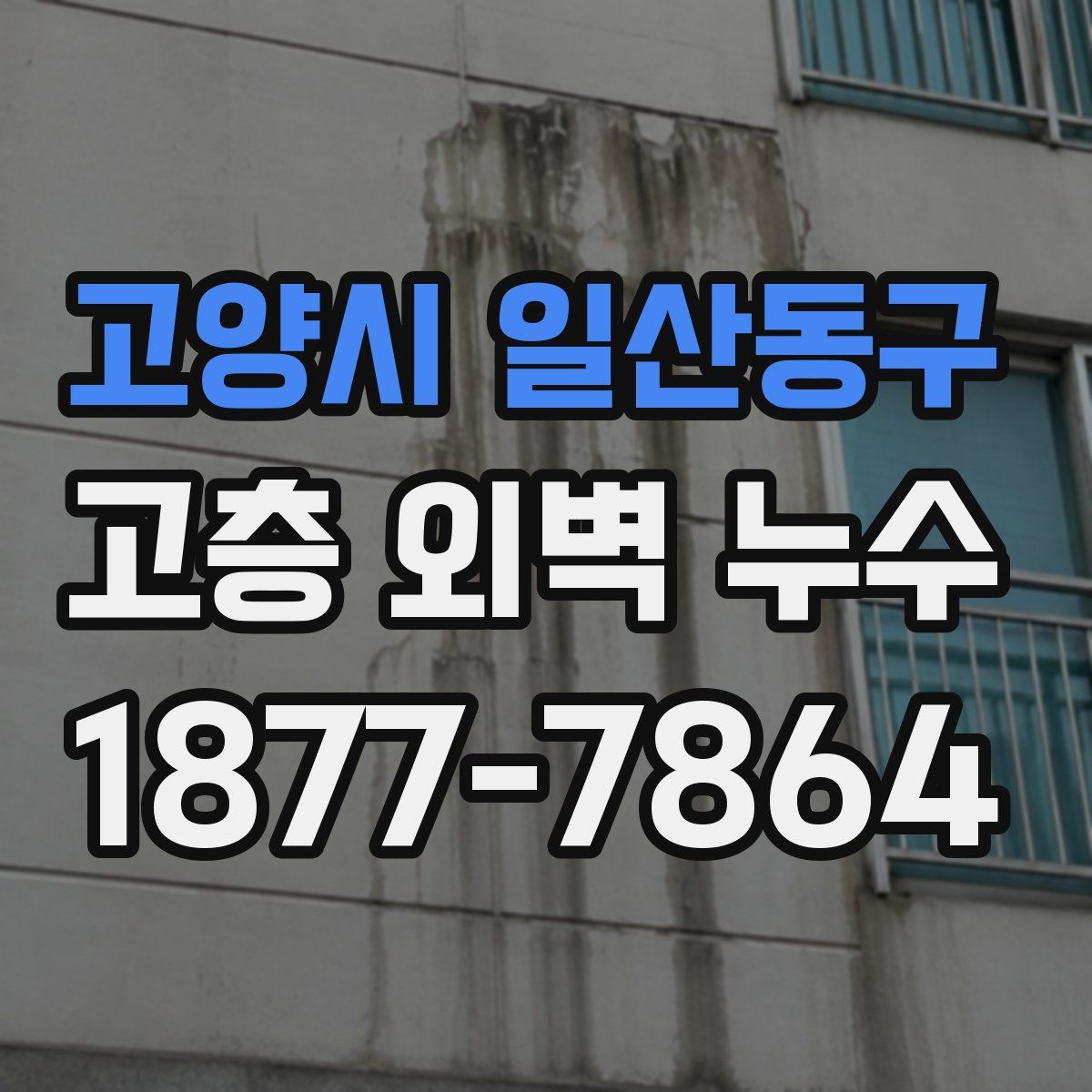 고양시 일산동구 고층 외벽 누수