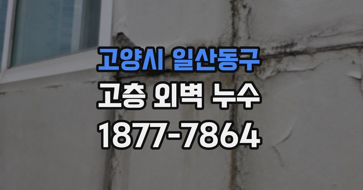 고양시 일산동구 고층 외벽 누수