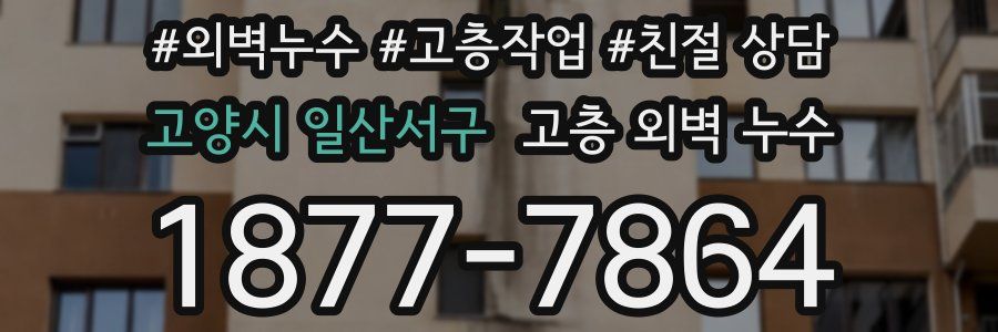 고양시 일산서구 고층 외벽 누수