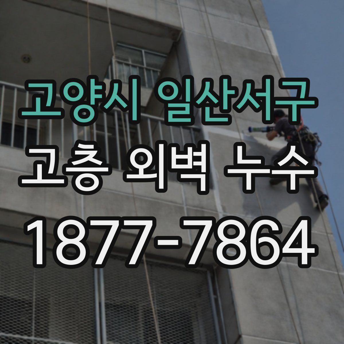 고양시 일산서구 고층 외벽 누수