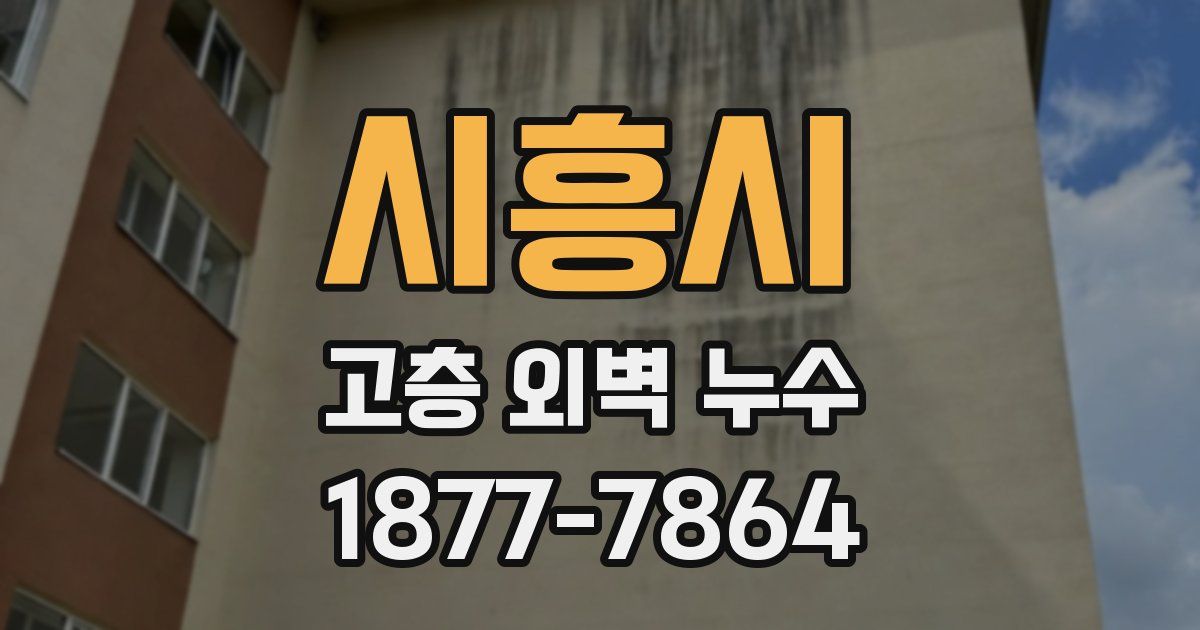 시흥시 고층 외벽 누수