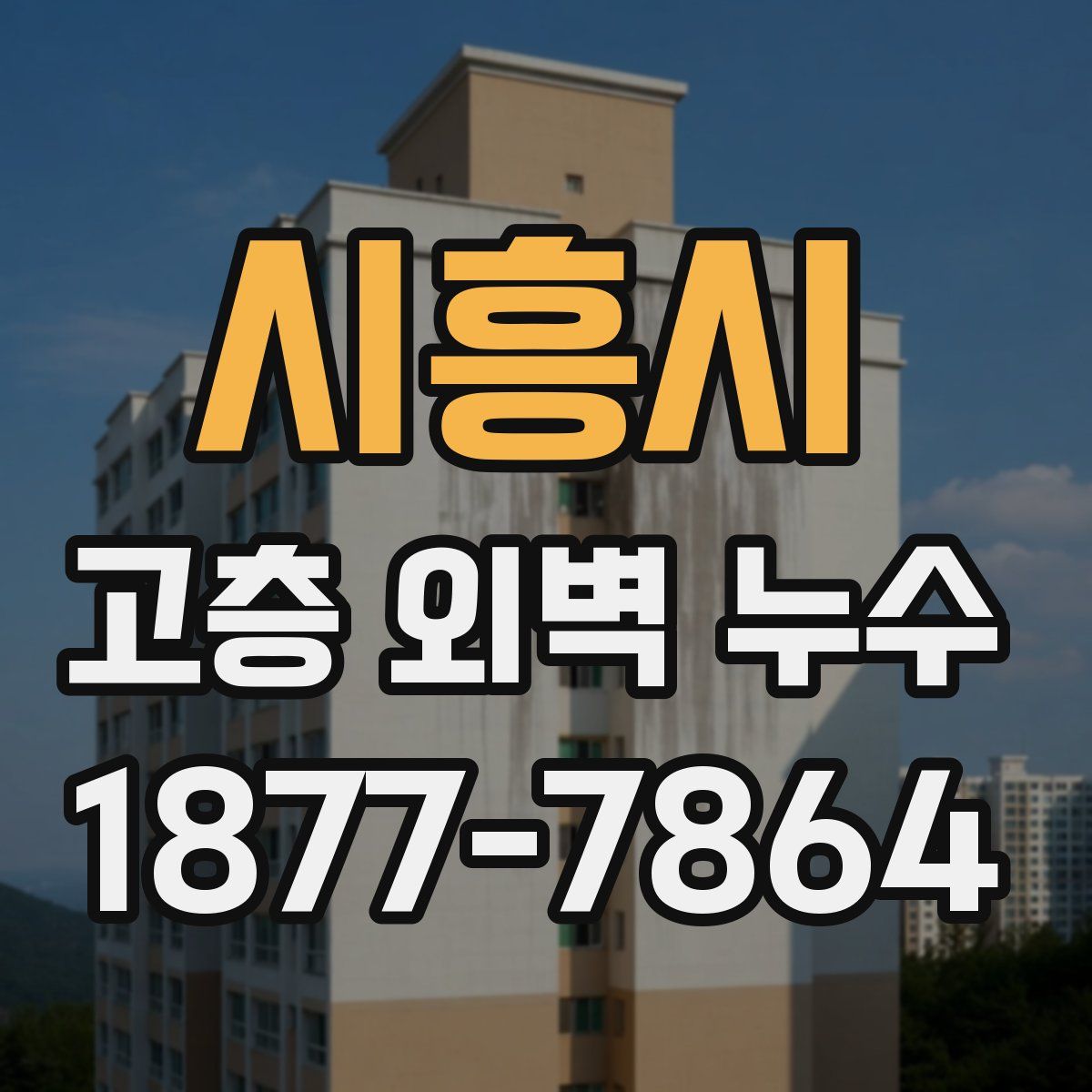 시흥시 고층 외벽 누수
