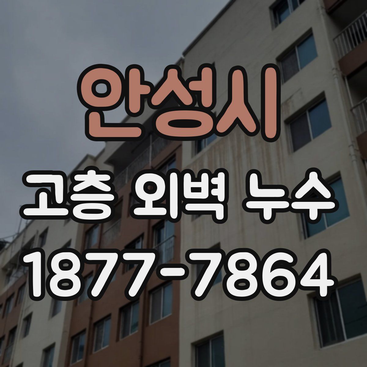 안성시 고층 외벽 누수