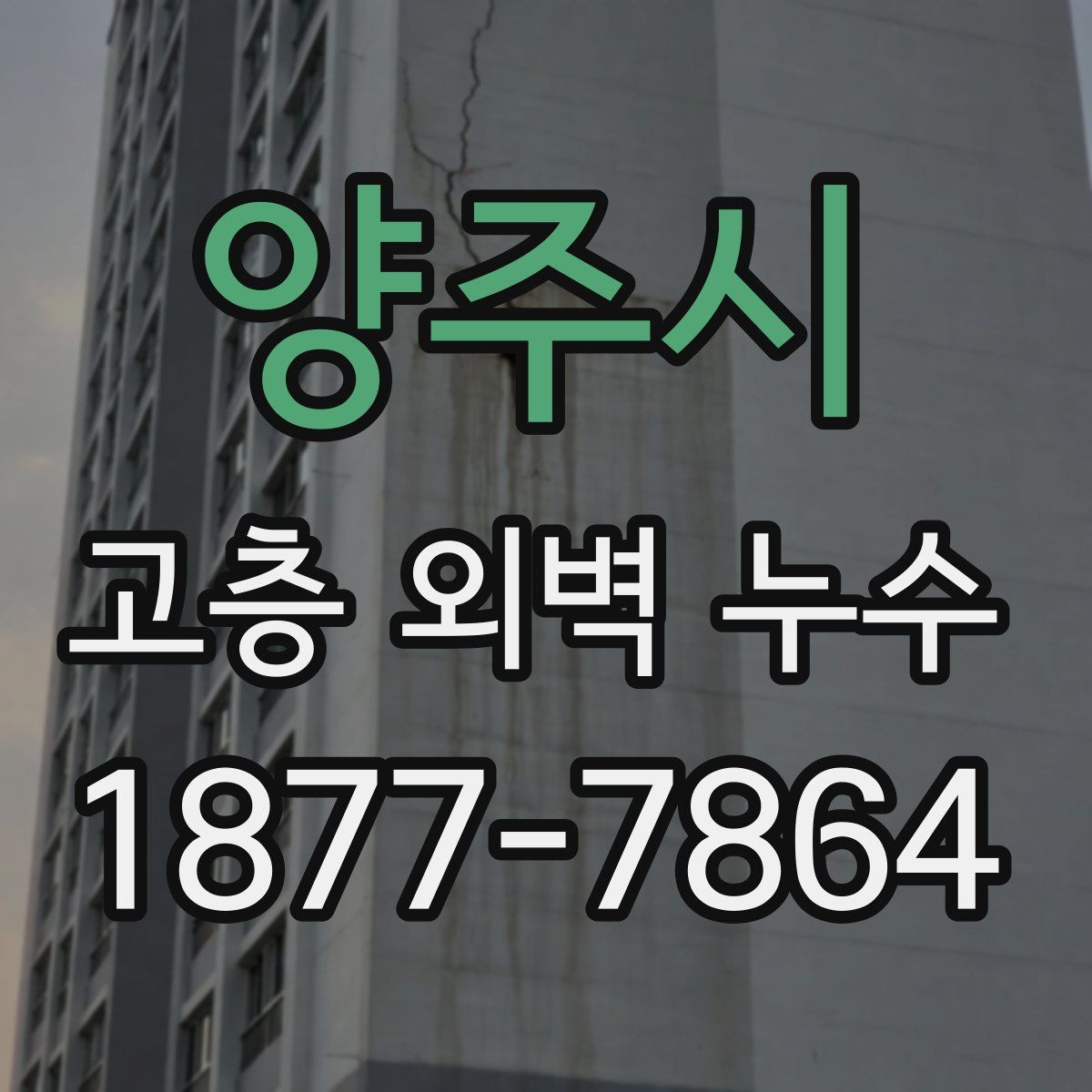 양주시 고층 외벽 누수