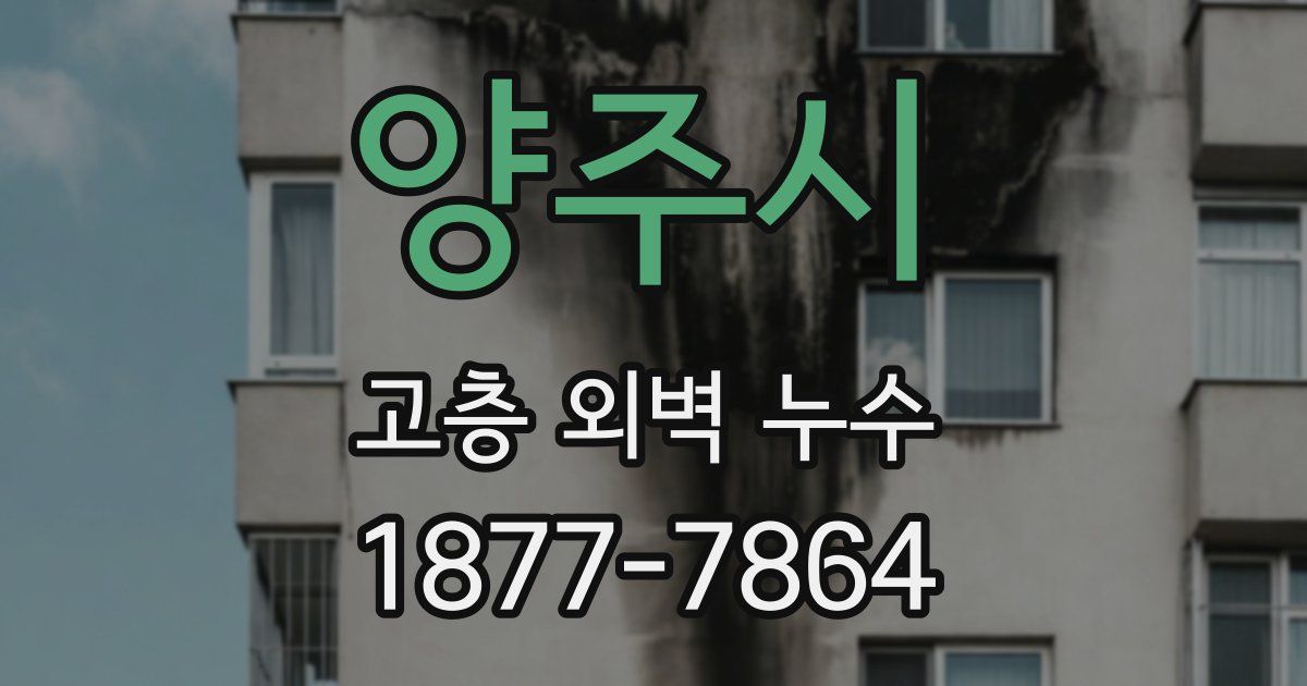양주시 고층 외벽 누수