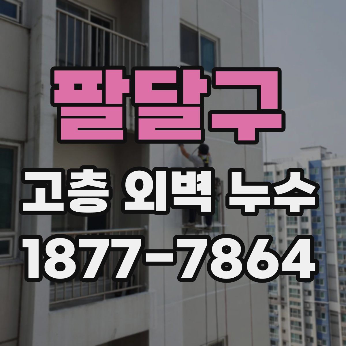 팔달구 고층 외벽 누수