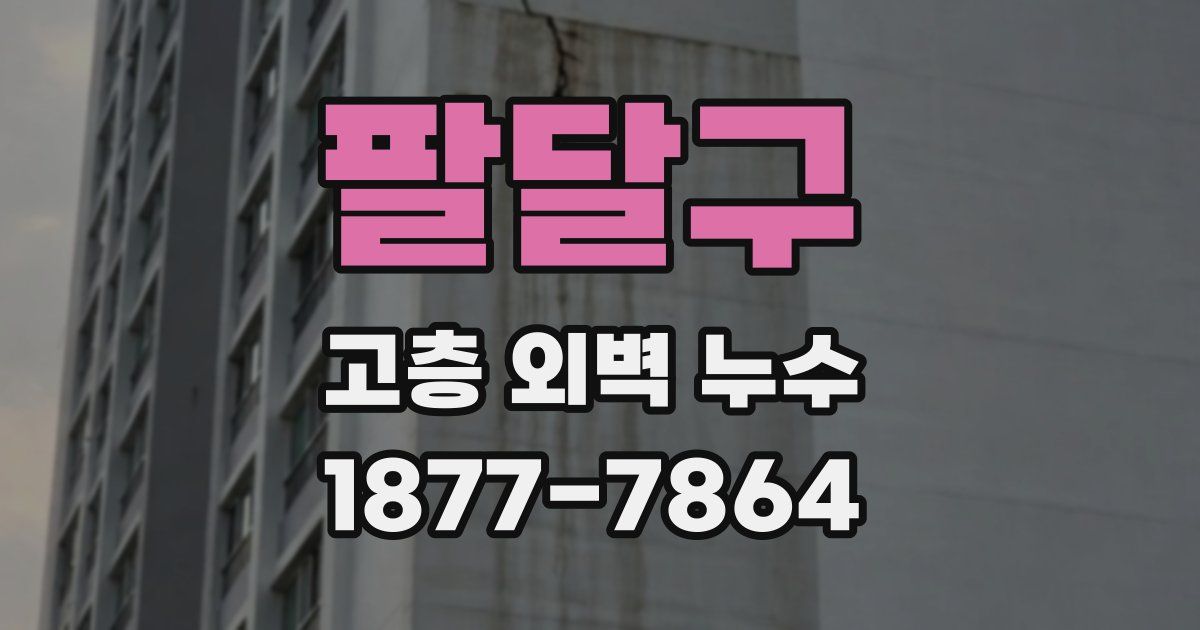 팔달구 고층 외벽 누수