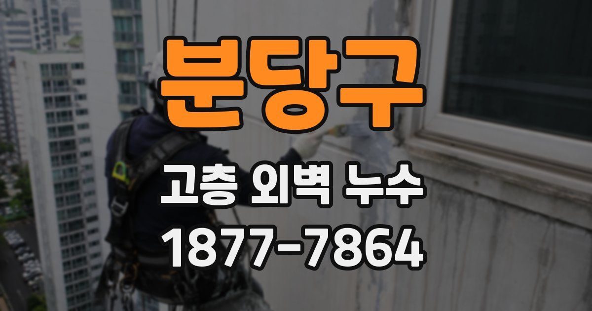 분당구 고층 외벽 누수