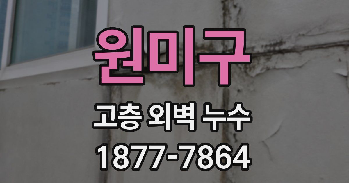 원미구 고층 외벽 누수