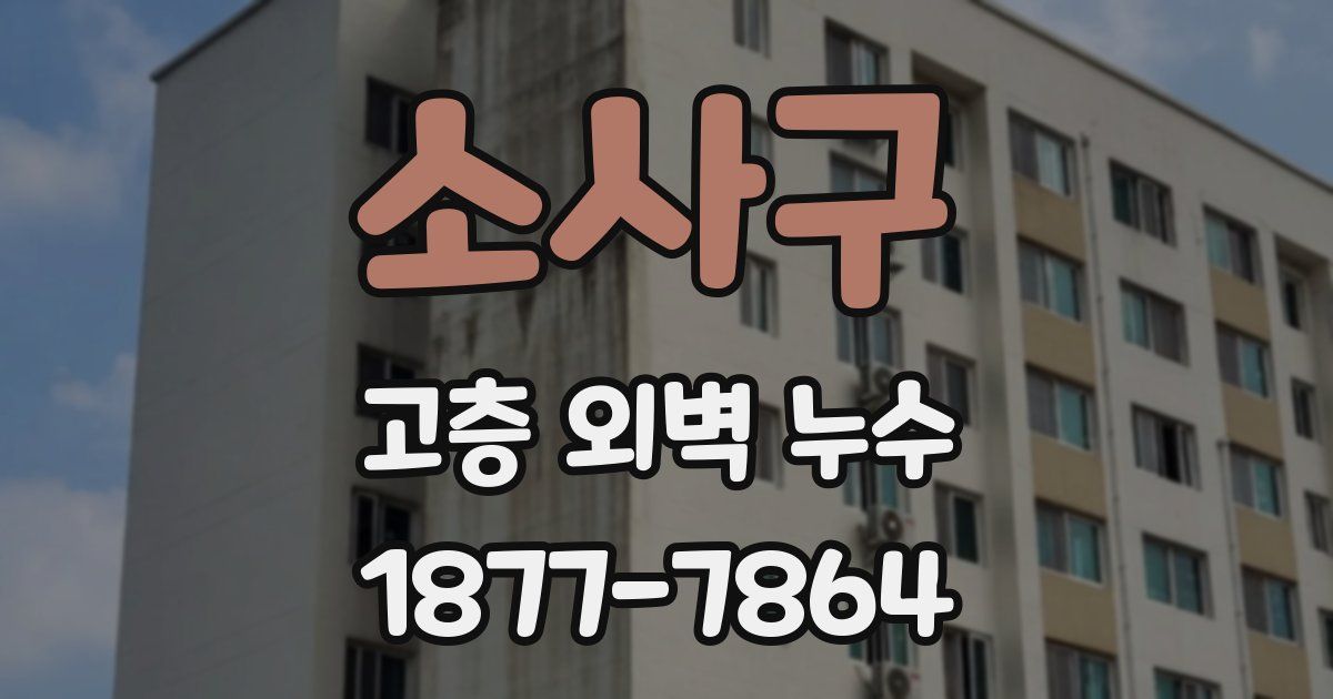 소사구 고층 외벽 누수