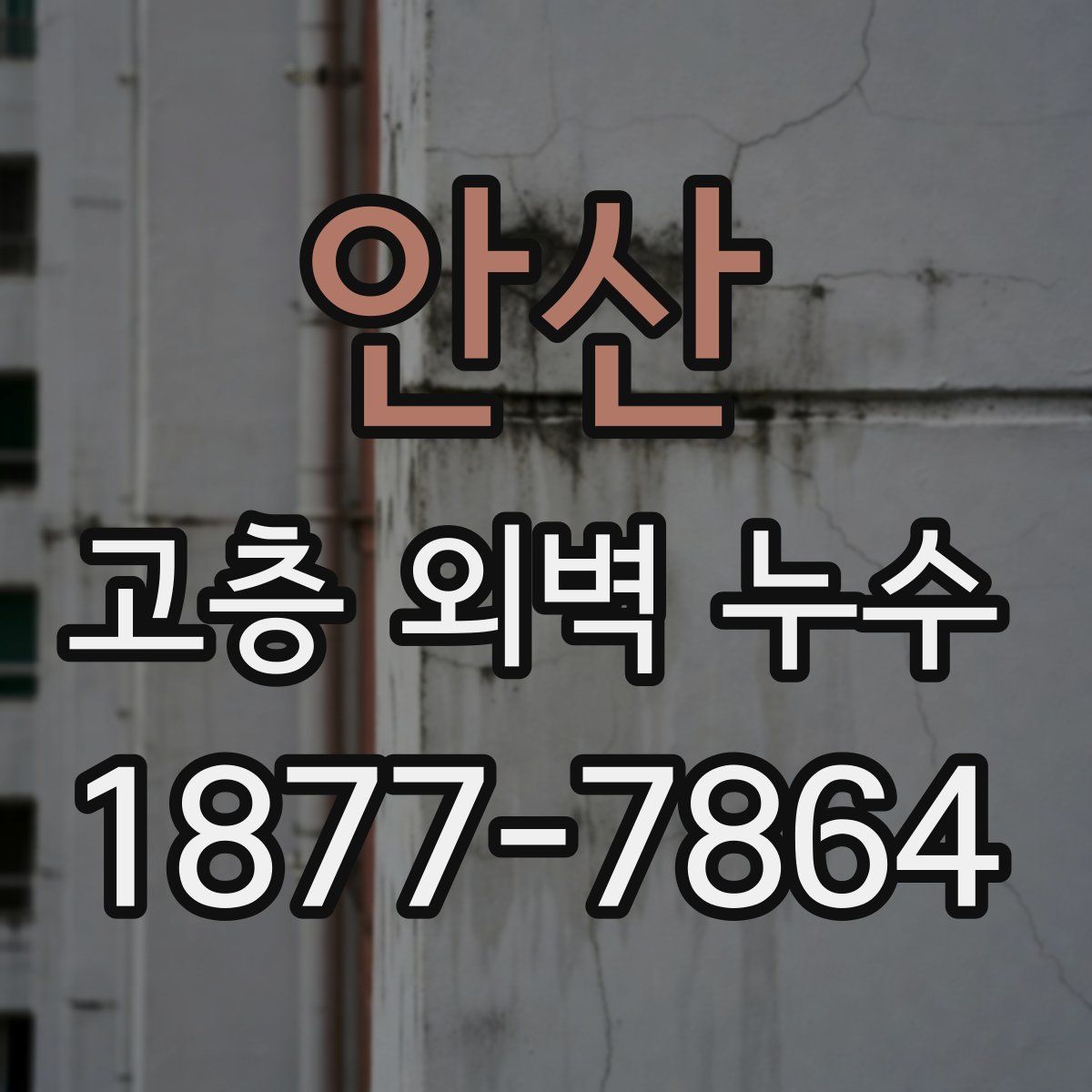 안산 고층 외벽 누수