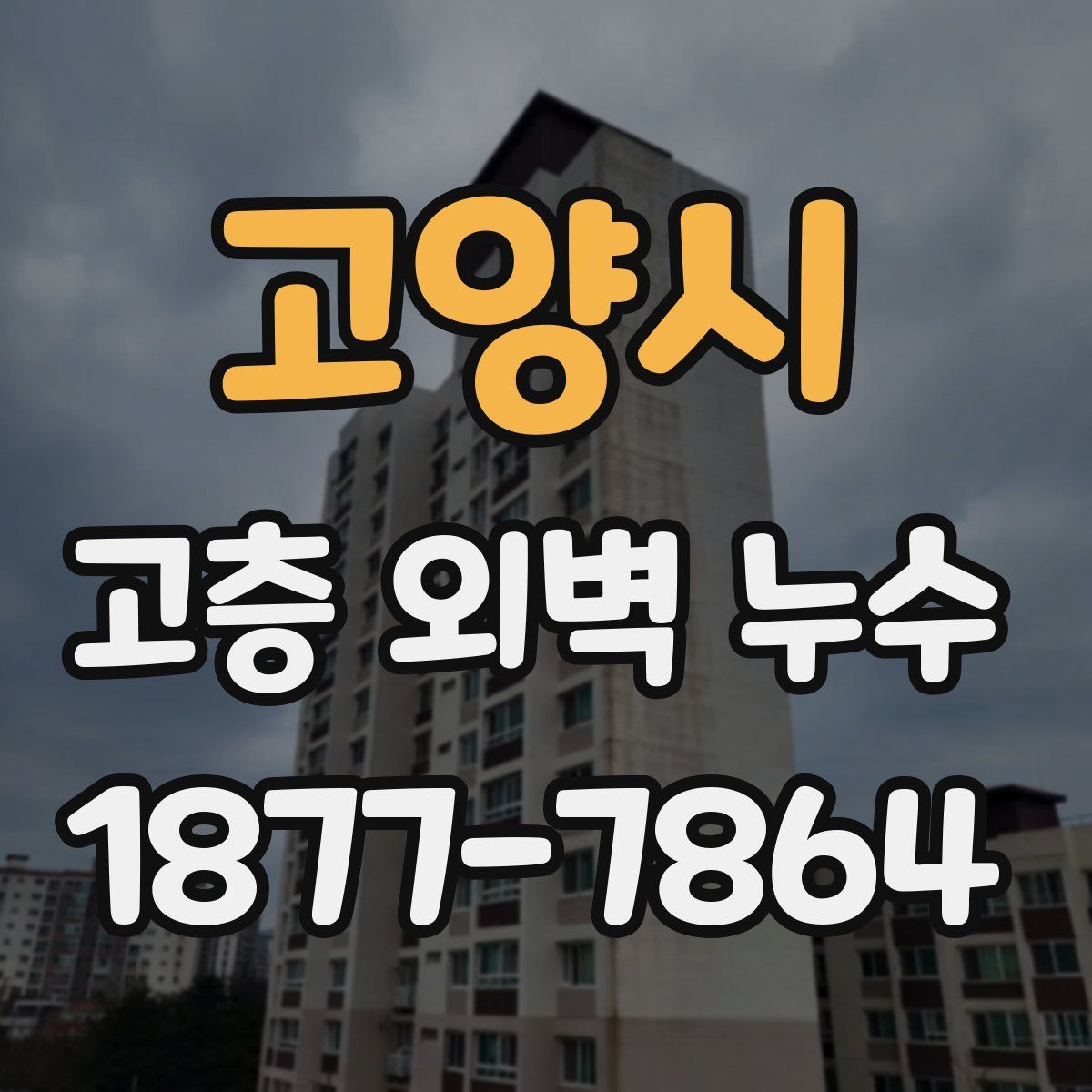 고양시 고층 외벽 누수
