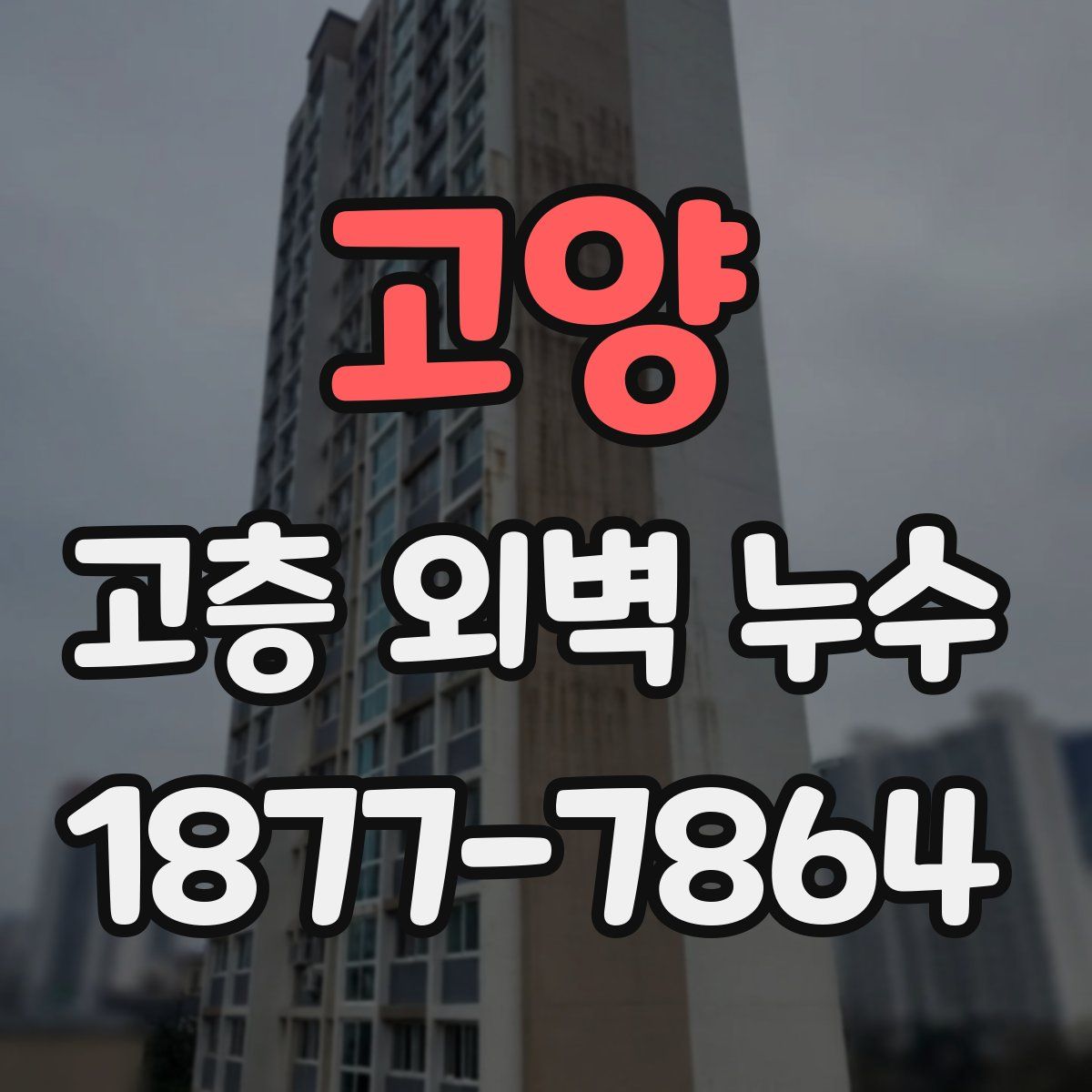 고양 고층 외벽 누수