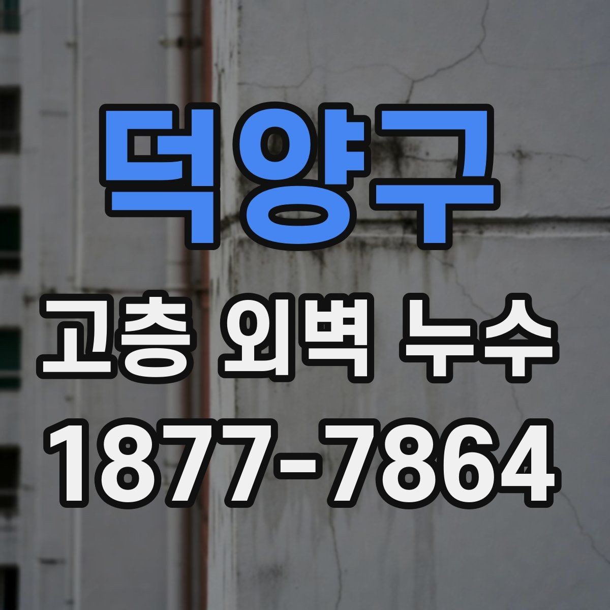 덕양구 고층 외벽 누수 의심 사례를 통해 보는 판단 기준