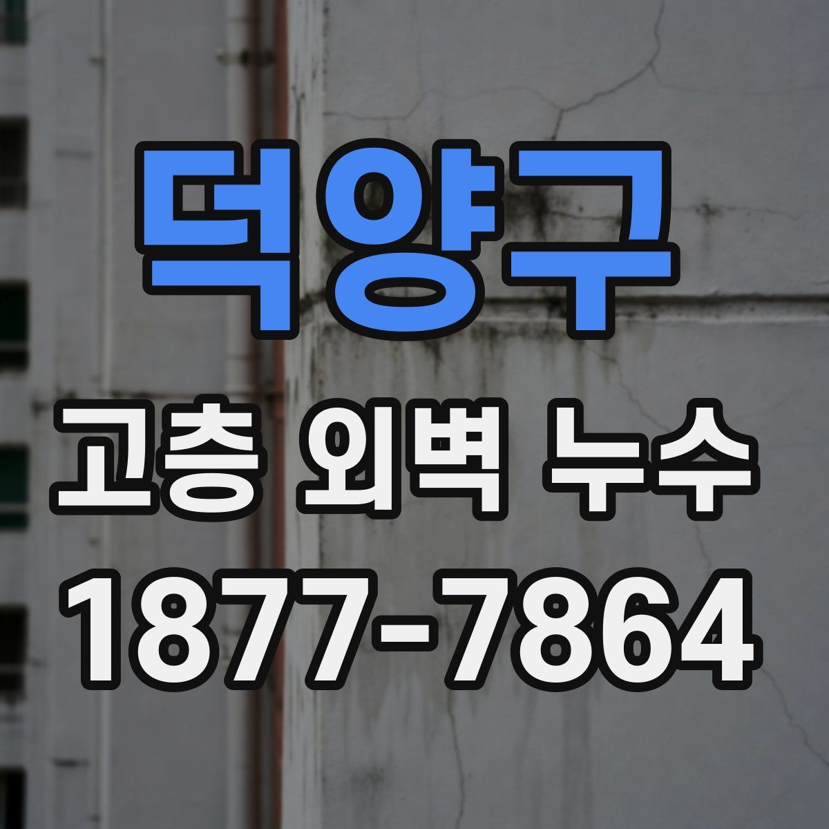 덕양구 고층 외벽 누수
