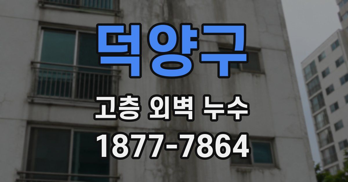 덕양구 고층 외벽 누수