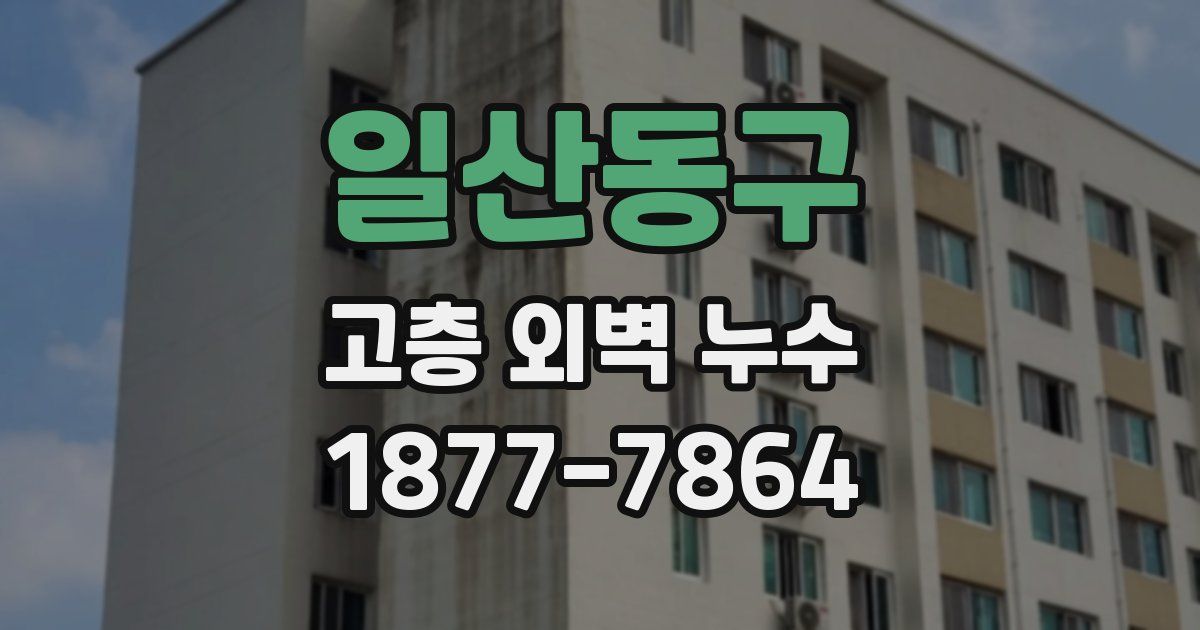 일산동구 고층 외벽 누수