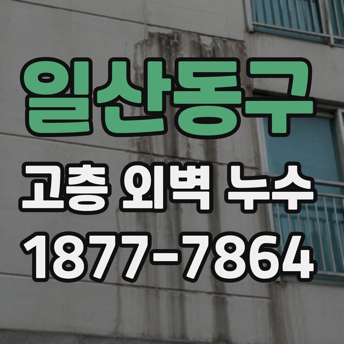 일산동구 고층 외벽 누수