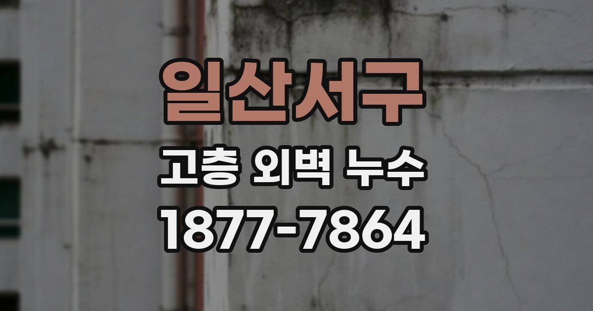 일산서구 고층 외벽 누수