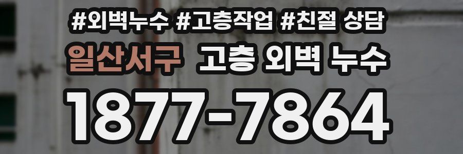 일산서구 고층 외벽 누수