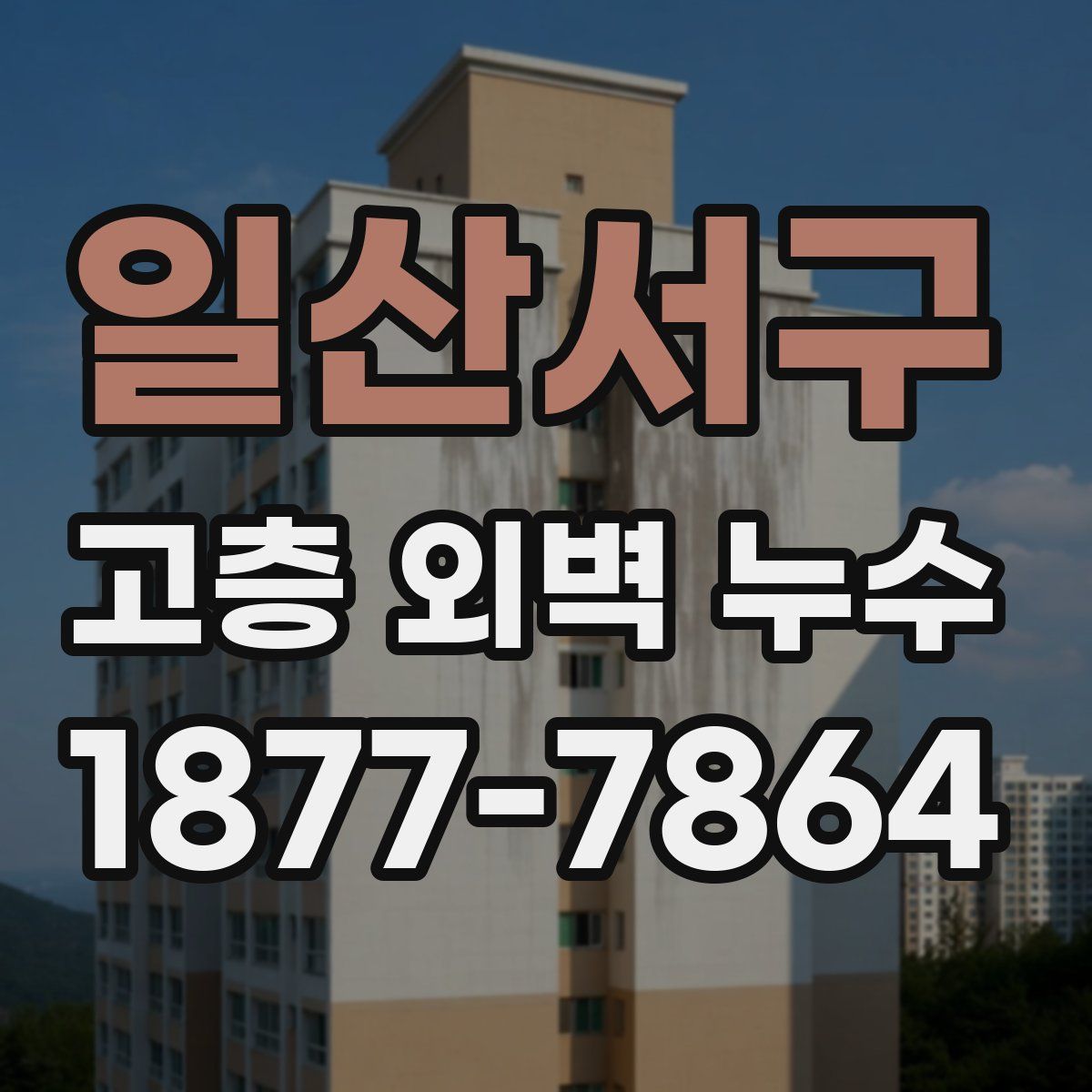 일산서구 고층 외벽 누수