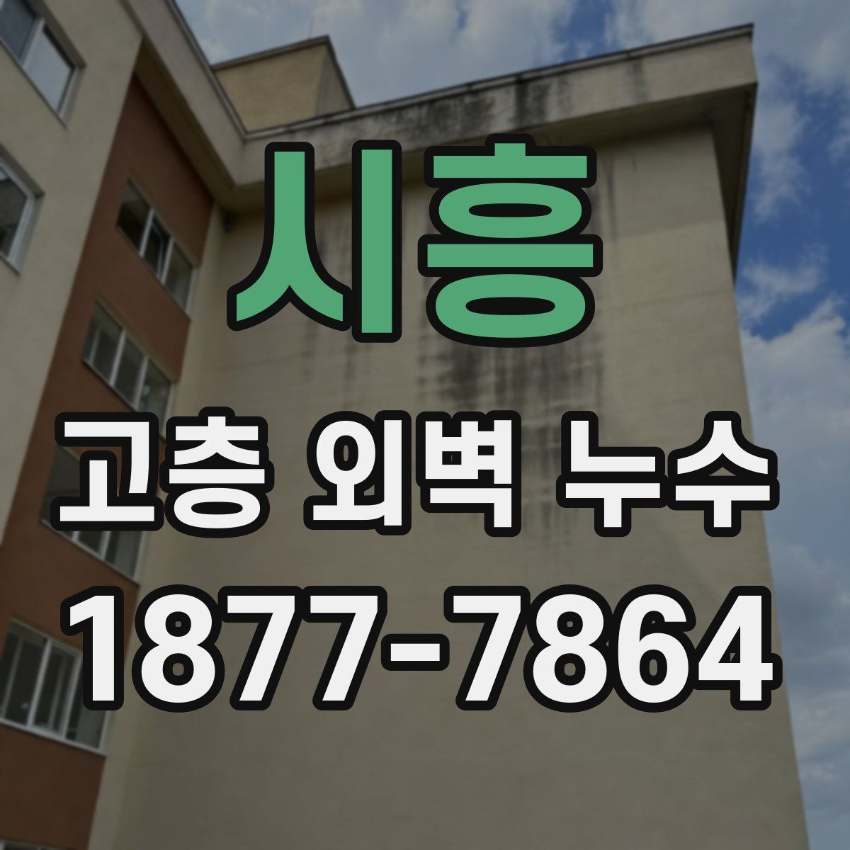 시흥 고층 외벽 누수