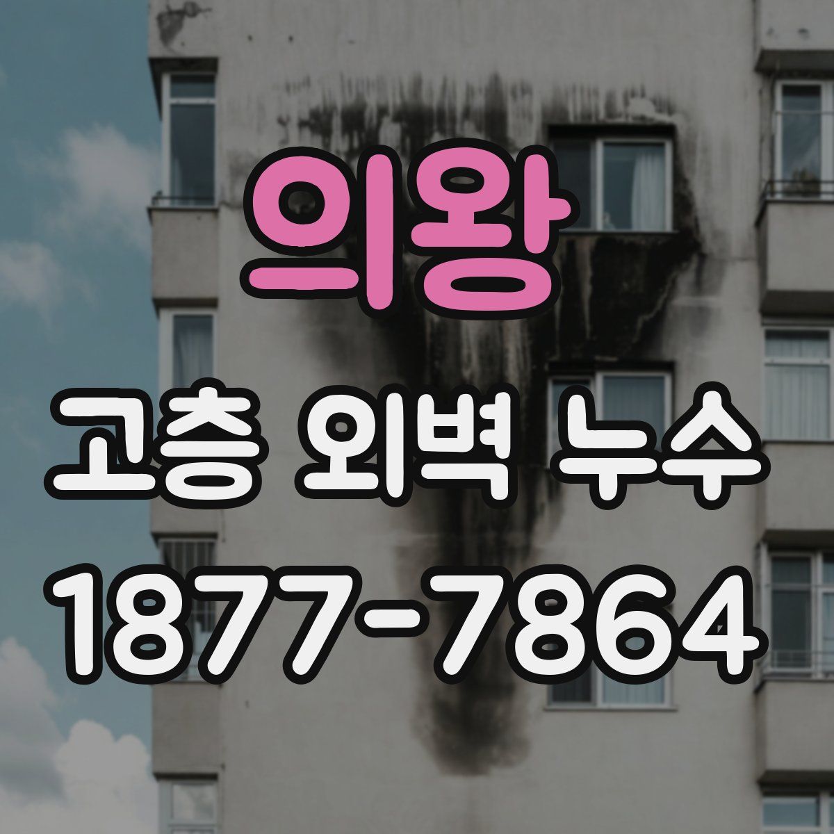 의왕 고층 외벽 누수