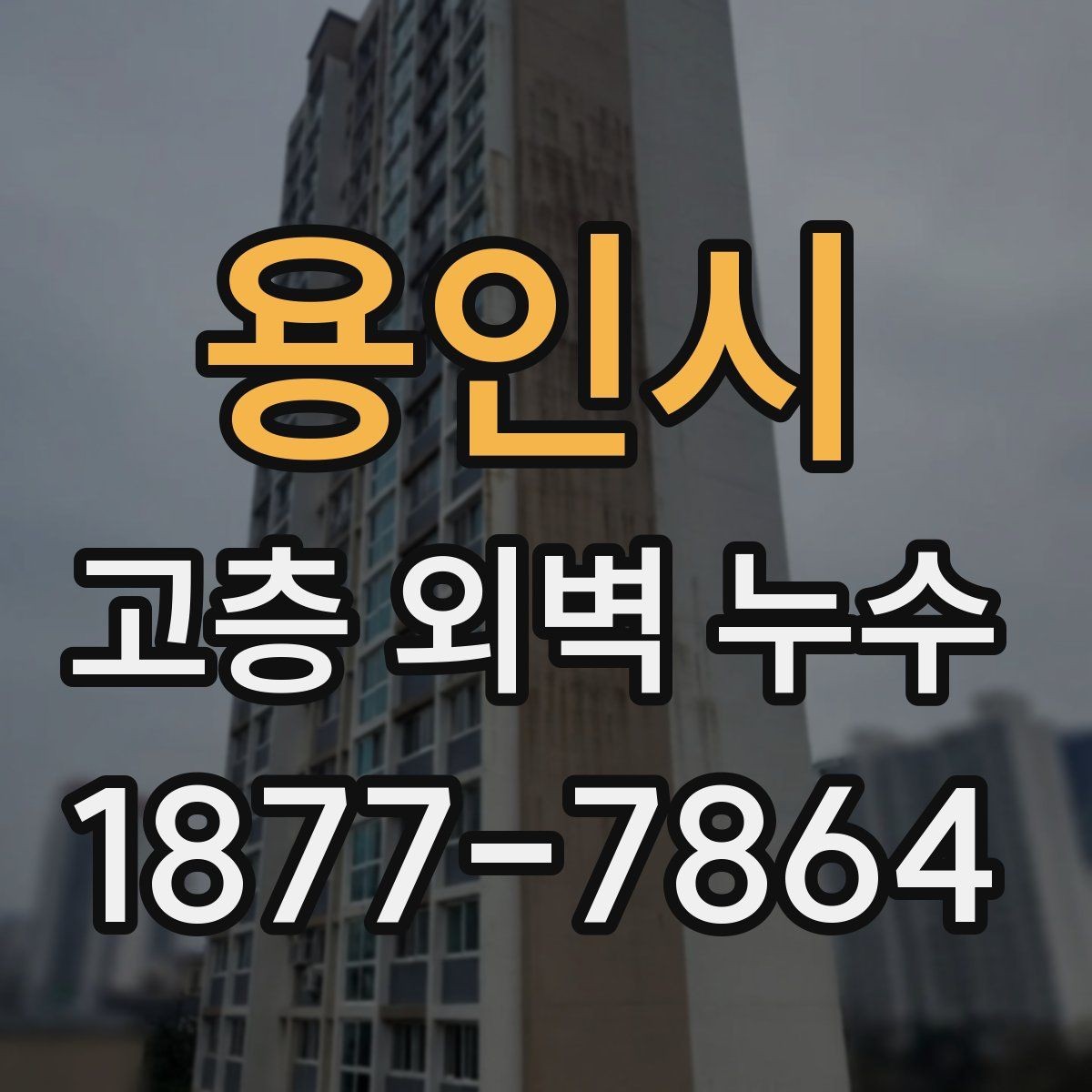 용인시 고층 외벽 누수 누수 확산을 막는 초기 대응