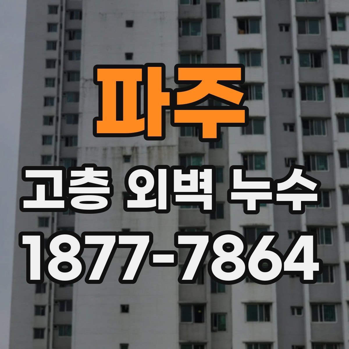 파주 고층 외벽 누수 점검 후 작업 범위 정하는 기준