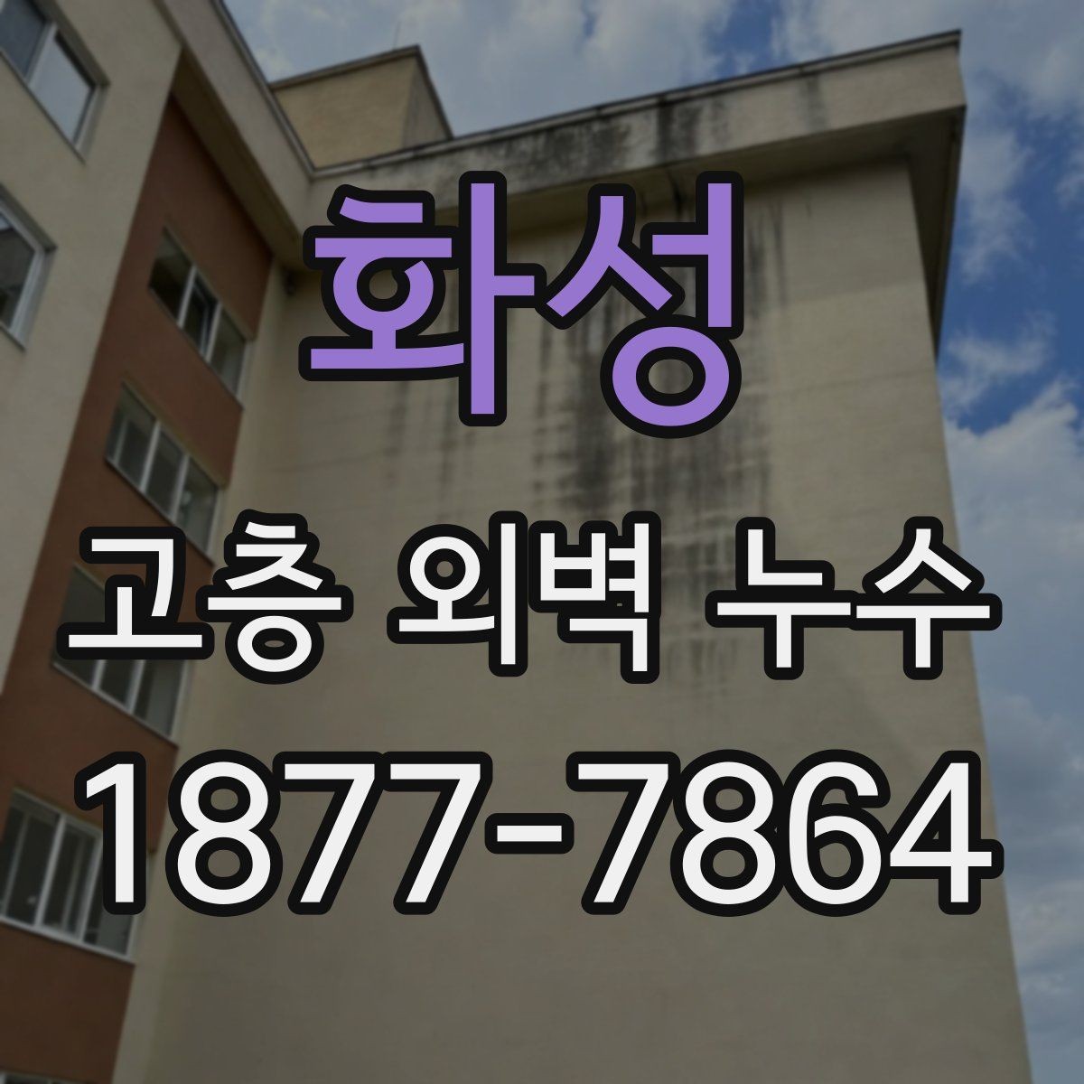 화성 고층 외벽 누수 발생 시 건물 전체 점검이 필요한 이유