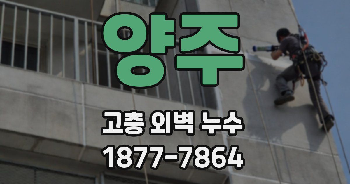 양주 고층 외벽 누수