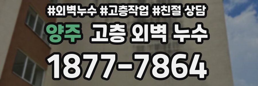양주 고층 외벽 누수