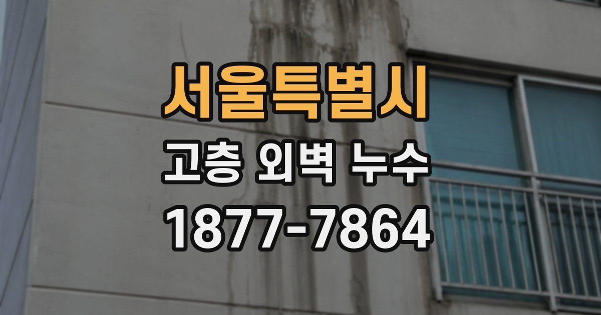 서울특별시 고층 외벽 누수