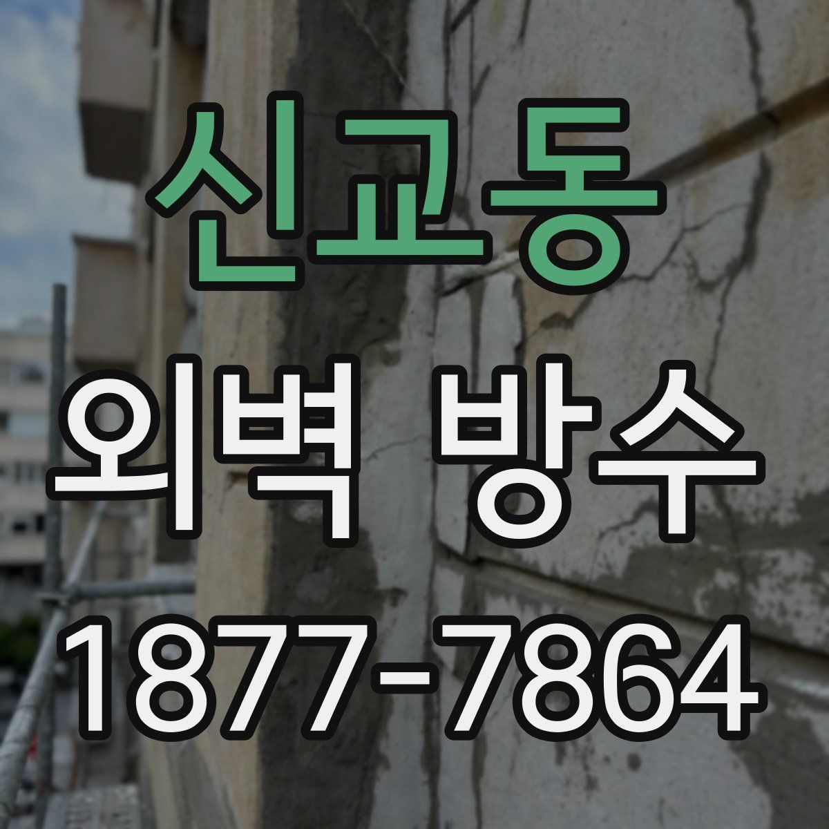 신교동 외벽 방수