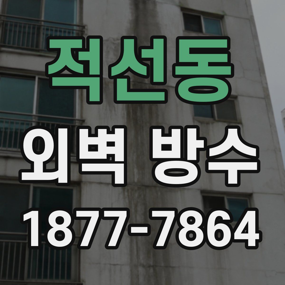 적선동 외벽 방수