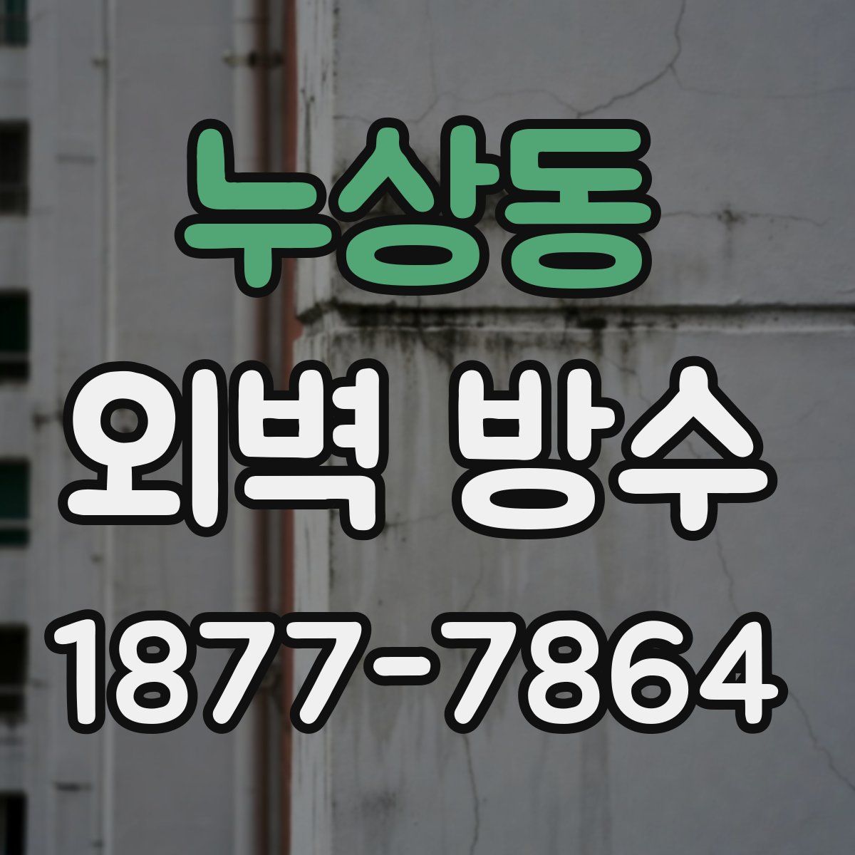 누상동 외벽 방수