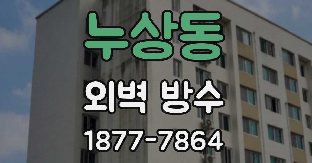 누상동 외벽 방수