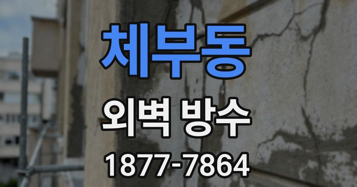 체부동 외벽 방수