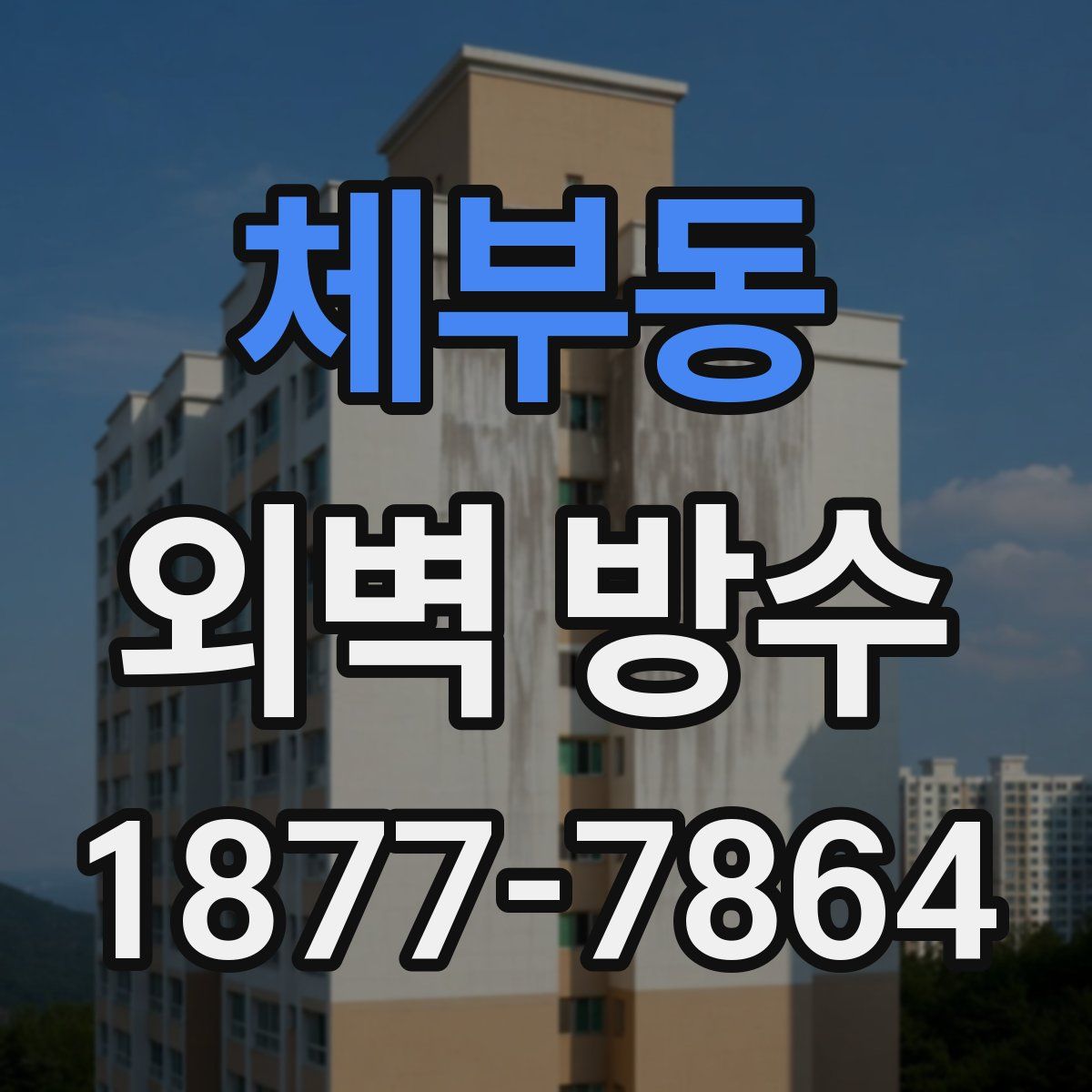 체부동 외벽 방수