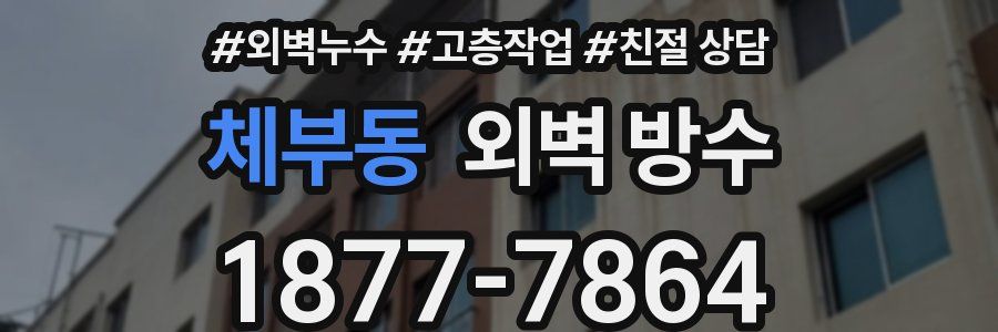 체부동 외벽 방수